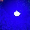 SSLG SG16 25Watt Dual Color Projector Light 1 Pc - Image 11
