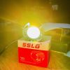 SSLG SG16 25Watt Dual Color Projector Light 1 Pc - Image 10